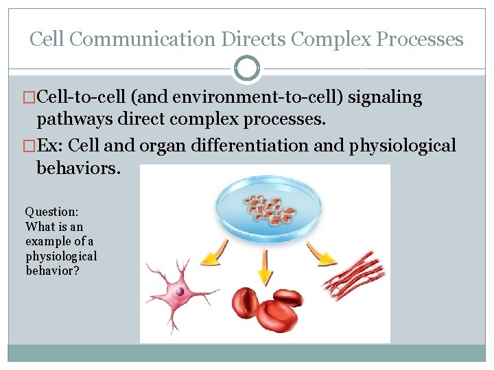 Cell Communication Directs Complex Processes �Cell-to-cell (and environment-to-cell) signaling pathways direct complex processes. �Ex: