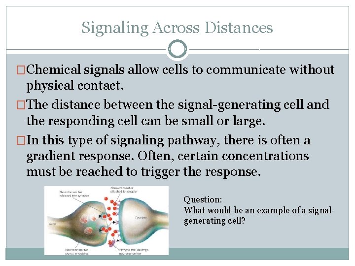 Signaling Across Distances �Chemical signals allow cells to communicate without physical contact. �The distance