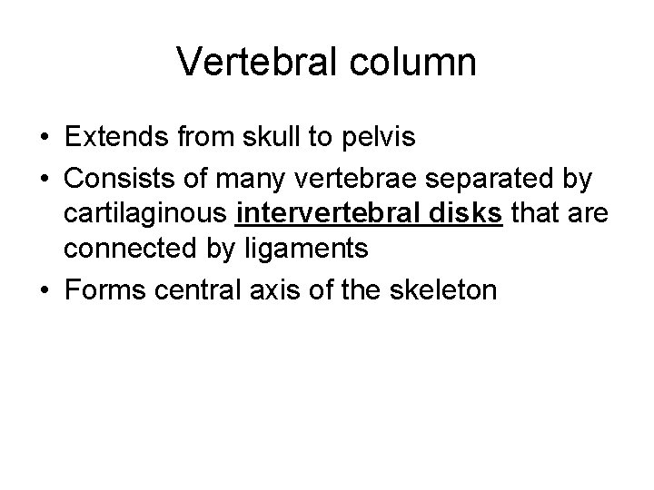 Vertebral column • Extends from skull to pelvis • Consists of many vertebrae separated