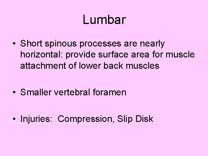 Lumbar • Short spinous processes are nearly horizontal: provide surface area for muscle attachment