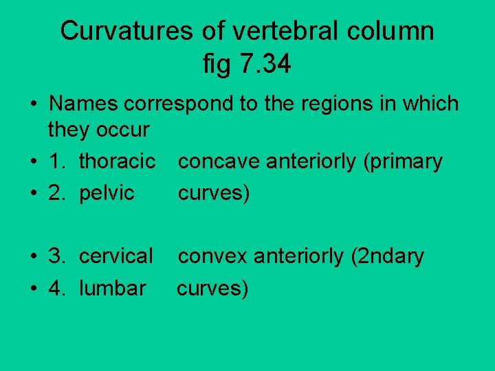 Curvatures of vertebral column fig 7. 34 • Names correspond to the regions in