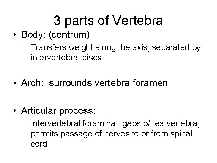 3 parts of Vertebra • Body: (centrum) – Transfers weight along the axis; separated