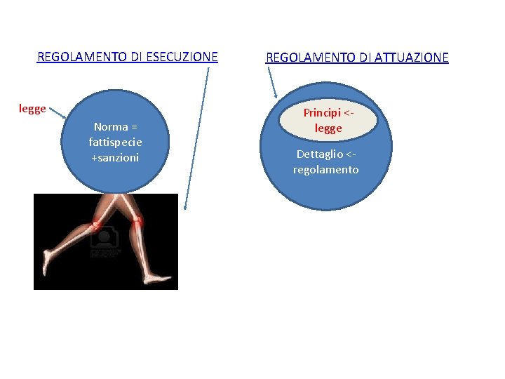 REGOLAMENTO DI ESECUZIONE legge Norma = fattispecie +sanzioni REGOLAMENTO DI ATTUAZIONE Principi <- legge