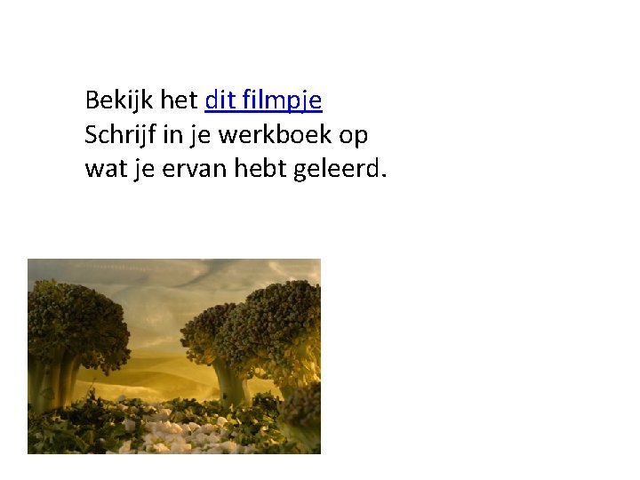 Bekijk het dit filmpje Schrijf in je werkboek op wat je ervan hebt geleerd.