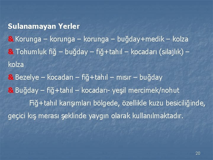 Sulanamayan Yerler & Korunga – korunga – buğday+medik – kolza & Tohumluk fiğ –