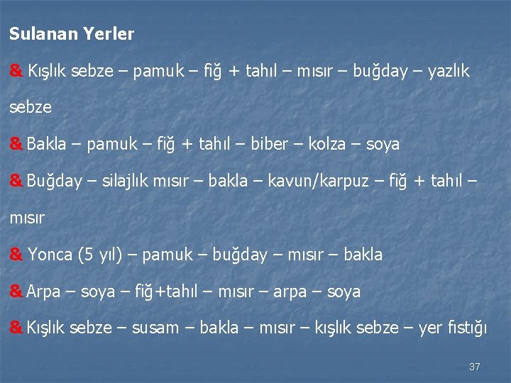 Sulanan Yerler & Kışlık sebze – pamuk – fiğ + tahıl – mısır –