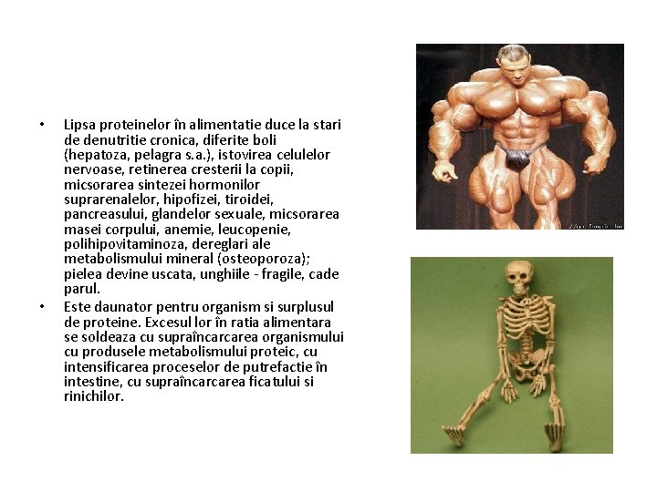  • • Lipsa proteinelor în alimentatie duce la stari de denutritie cronica, diferite