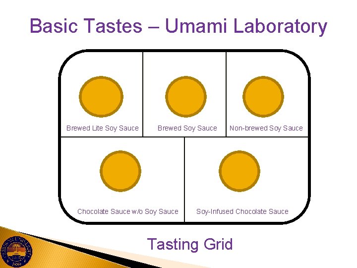 Basic Tastes – Umami Laboratory Brewed Lite Soy Sauce Brewed Soy Sauce Chocolate Sauce