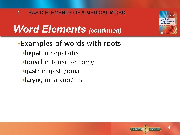 1 BASIC ELEMENTS OF A MEDICAL WORD Word Elements (continued) • Examples of words