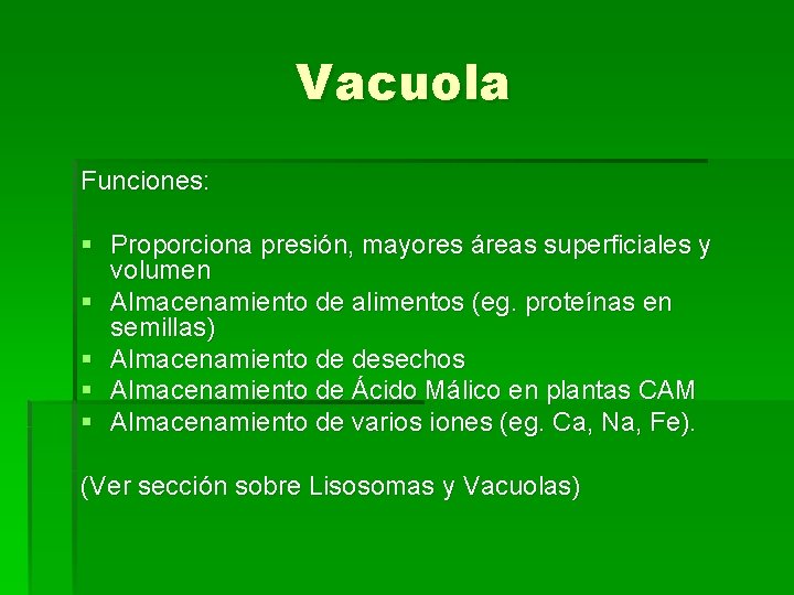 Vacuola Funciones: § Proporciona presión, mayores áreas superficiales y volumen § Almacenamiento de alimentos