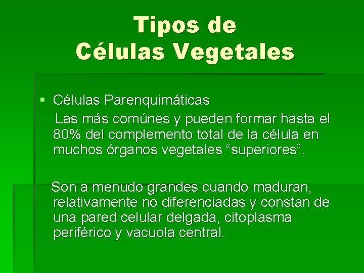 Tipos de Células Vegetales § Células Parenquimáticas Las más comúnes y pueden formar hasta