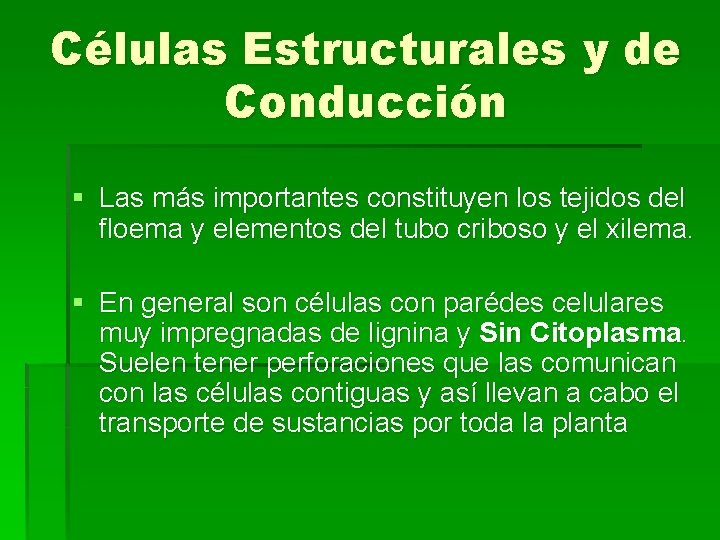 Células Estructurales y de Conducción § Las más importantes constituyen los tejidos del floema