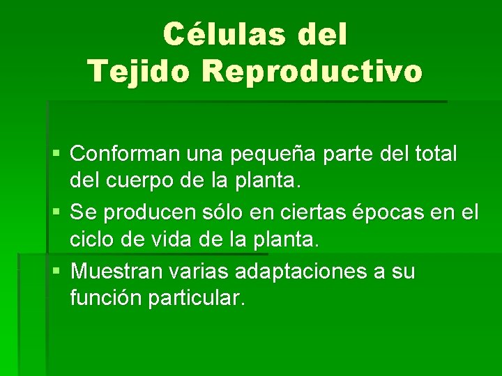 Células del Tejido Reproductivo § Conforman una pequeña parte del total del cuerpo de