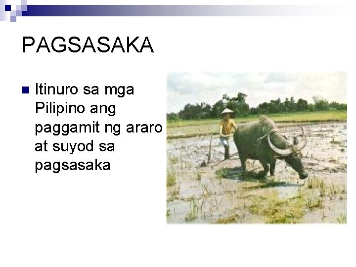 PAGSASAKA n Itinuro sa mga Pilipino ang paggamit ng araro at suyod sa pagsasaka