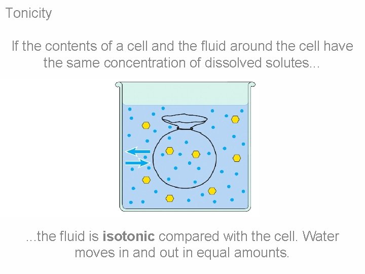 Tonicity If the contents of a cell and the fluid around the cell have Tonicity If the contents of a cell and the fluid around the cell have