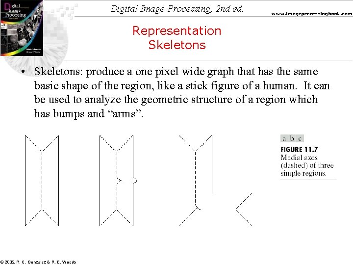 Digital Image Processing, 2 nd ed. www. imageprocessingbook. com Representation Skeletons • Skeletons: produce