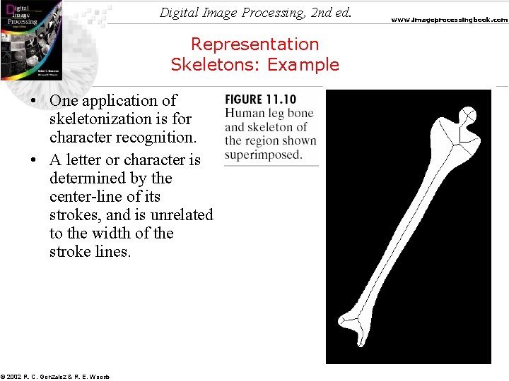 Digital Image Processing, 2 nd ed. Representation Skeletons: Example • One application of skeletonization
