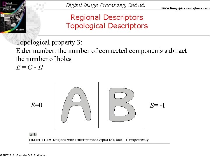 Digital Image Processing, 2 nd ed. www. imageprocessingbook. com Regional Descriptors Topological property 3: