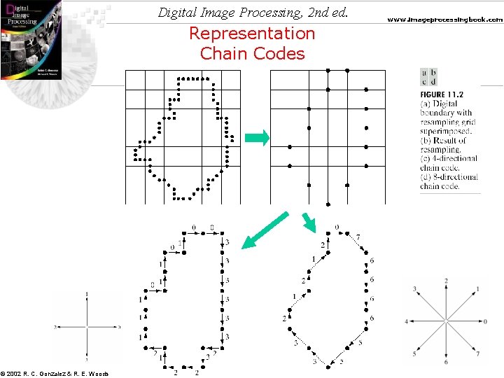 Digital Image Processing, 2 nd ed. Representation Chain Codes © 2002 R. C. Gonzalez