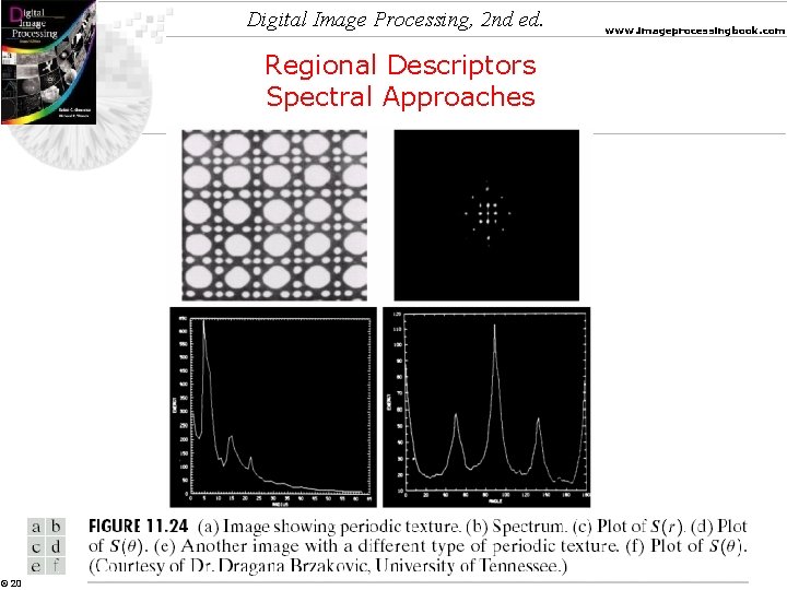 Digital Image Processing, 2 nd ed. Regional Descriptors Spectral Approaches © 2002 R. C.