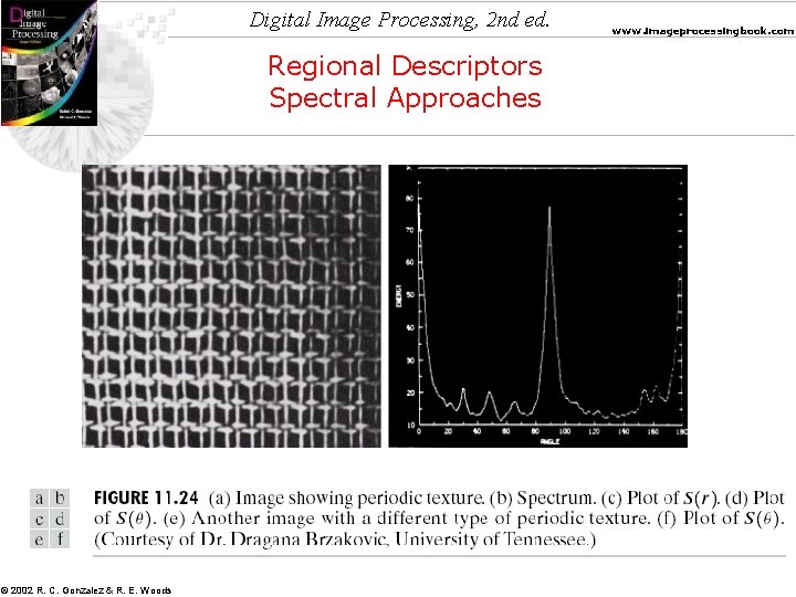 Digital Image Processing, 2 nd ed. Regional Descriptors Spectral Approaches © 2002 R. C.