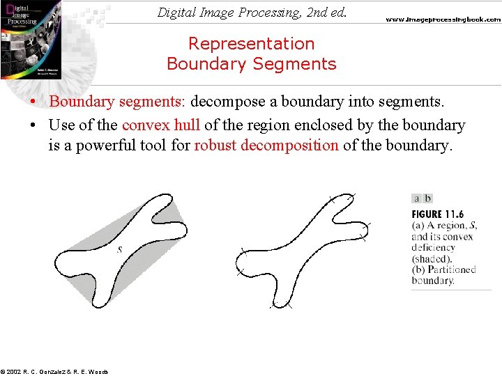 Digital Image Processing, 2 nd ed. www. imageprocessingbook. com Representation Boundary Segments • Boundary