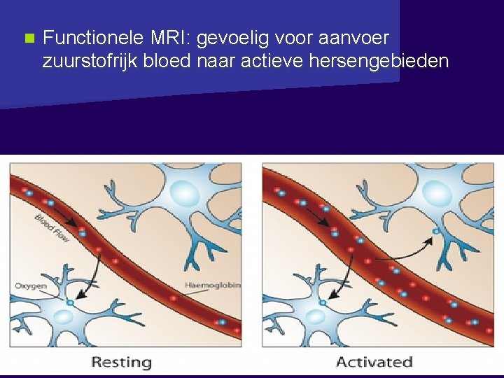 n Functionele MRI: gevoelig voor aanvoer zuurstofrijk bloed naar actieve hersengebieden Bouman GGZ -