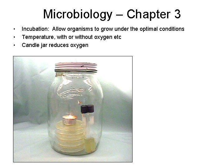 Microbiology – Chapter 3 • • • Incubation: Allow organisms to grow under the