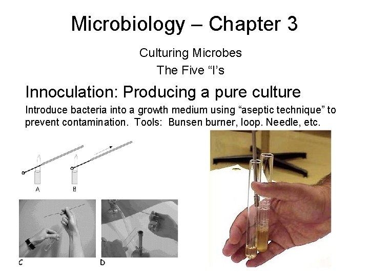 Microbiology – Chapter 3 Culturing Microbes The Five “I’s Innoculation: Producing a pure culture