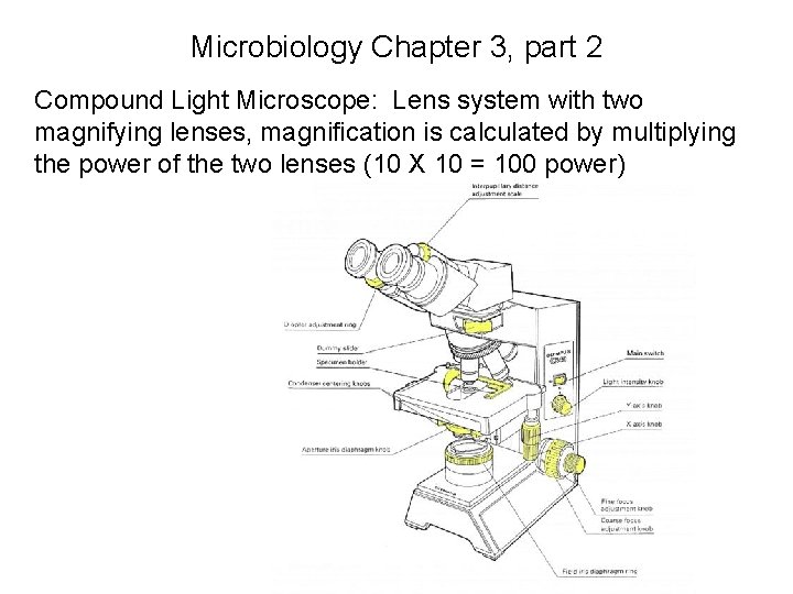 Microbiology Chapter 3, part 2 Compound Light Microscope: Lens system with two magnifying lenses,