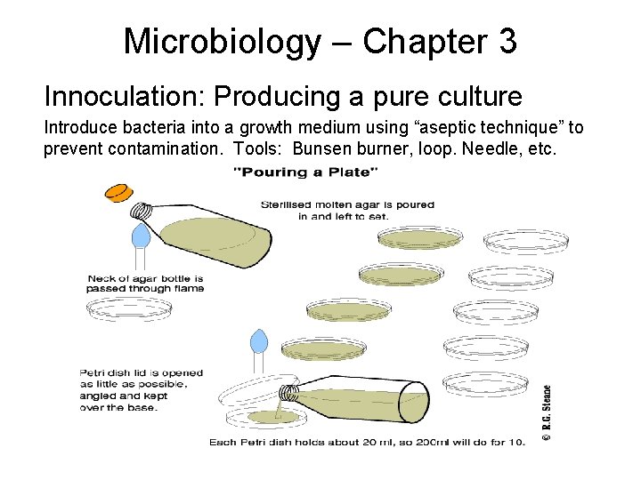 Microbiology – Chapter 3 Innoculation: Producing a pure culture Introduce bacteria into a growth