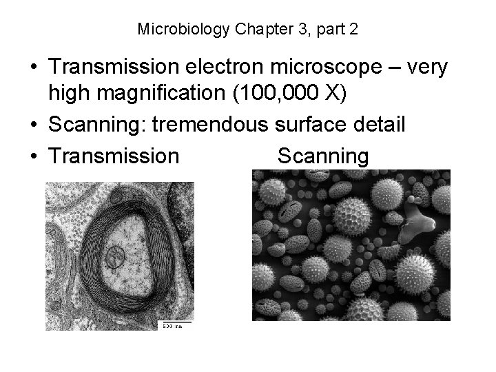 Microbiology Chapter 3, part 2 • Transmission electron microscope – very high magnification (100,