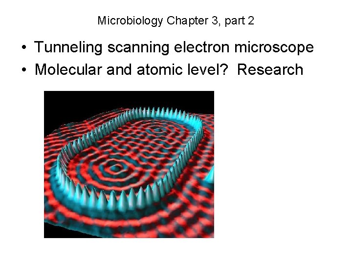 Microbiology Chapter 3, part 2 • Tunneling scanning electron microscope • Molecular and atomic