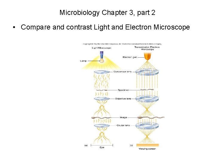 Microbiology Chapter 3, part 2 • Compare and contrast Light and Electron Microscope 