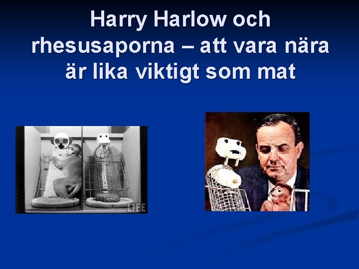 Harry Harlow och rhesusaporna – att vara nära är lika viktigt som mat 