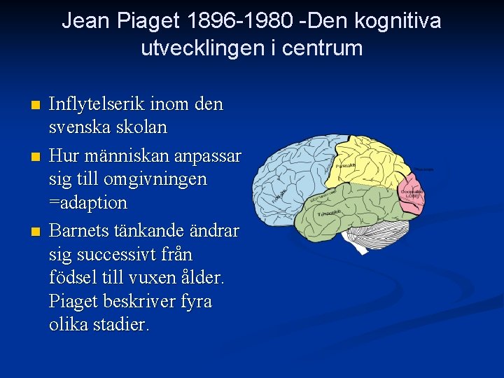 Jean Piaget 1896 -1980 -Den kognitiva utvecklingen i centrum n n n Inflytelserik inom