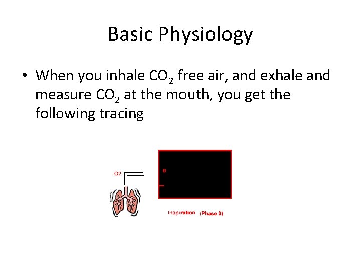 Basic Physiology • When you inhale CO 2 free air, and exhale and measure