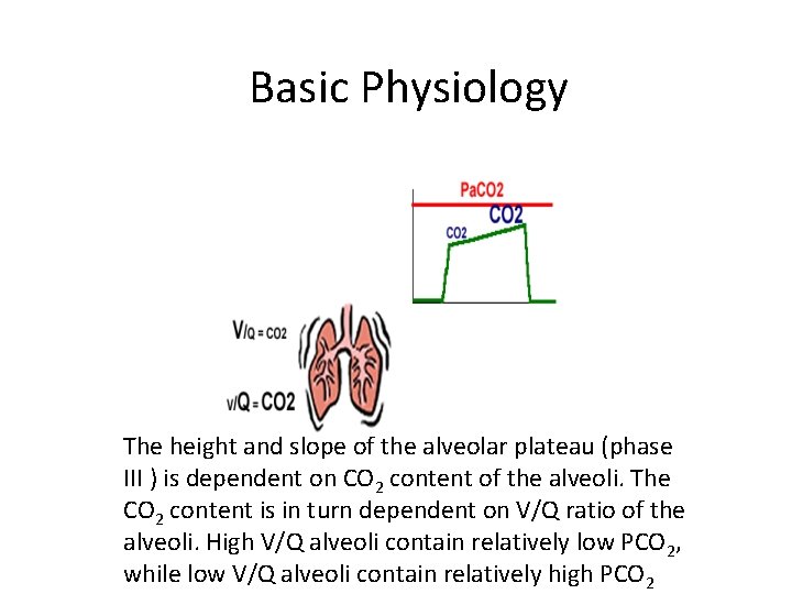 Basic Physiology The height and slope of the alveolar plateau (phase III ) is