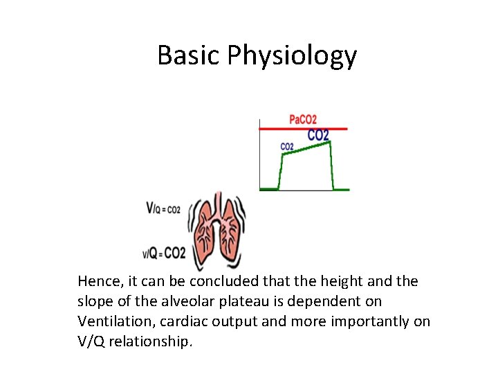 Basic Physiology Hence, it can be concluded that the height and the slope of