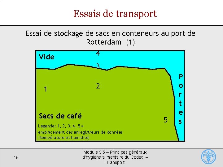 Essais de transport Essai de stockage de sacs en conteneurs au port de Rotterdam