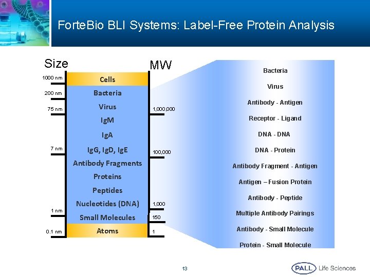 Forte. Bio BLI Systems: Label-Free Protein Analysis Size MW 1000 nm Cells 200 nm