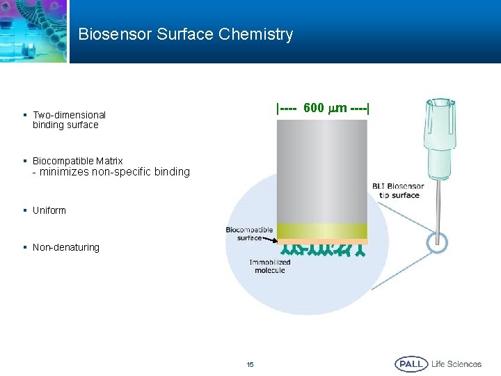 Biosensor Surface Chemistry |---- 600 mm ----| § Two-dimensional binding surface § Biocompatible Matrix