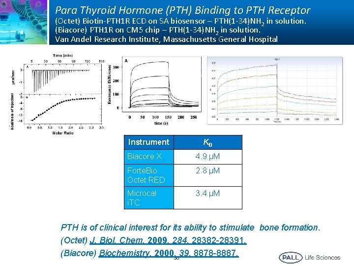 Para Thyroid Hormone (PTH) Binding to PTH Receptor (Octet) Biotin-PTH 1 R ECD on
