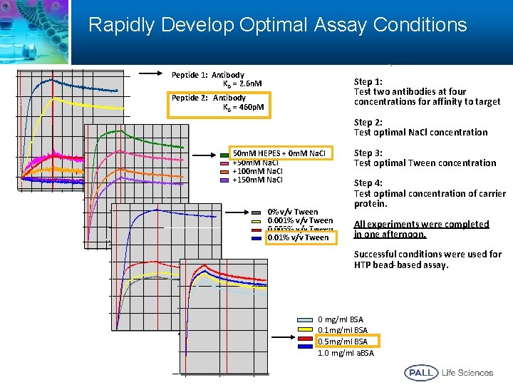 Rapidly Develop Optimal Assay Conditions Peptide 1: Antibody KD = 2. 6 n. M Rapidly Develop Optimal Assay Conditions Peptide 1: Antibody KD = 2. 6 n. M