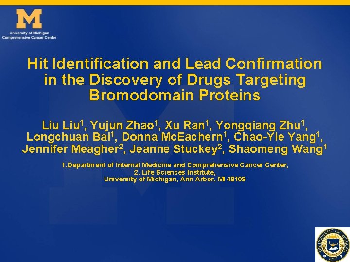 Hit Identification and Lead Confirmation in the Discovery of Drugs Targeting Bromodomain Proteins Liu Hit Identification and Lead Confirmation in the Discovery of Drugs Targeting Bromodomain Proteins Liu