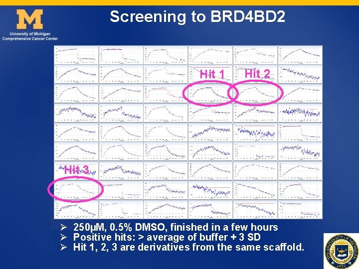 Screening to BRD 4 BD 2 Hit 1 Hit 2 Hit 3 Ø 250µM, Screening to BRD 4 BD 2 Hit 1 Hit 2 Hit 3 Ø 250µM,