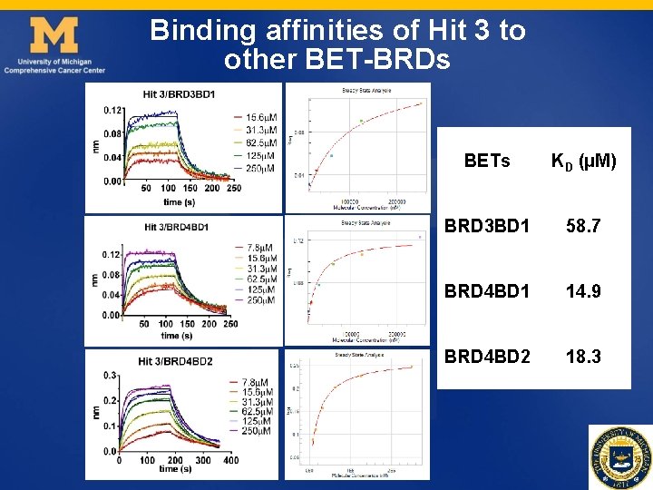 Binding affinities of Hit 3 to other BET-BRDs BETs KD (µM) BRD 3 BD Binding affinities of Hit 3 to other BET-BRDs BETs KD (µM) BRD 3 BD