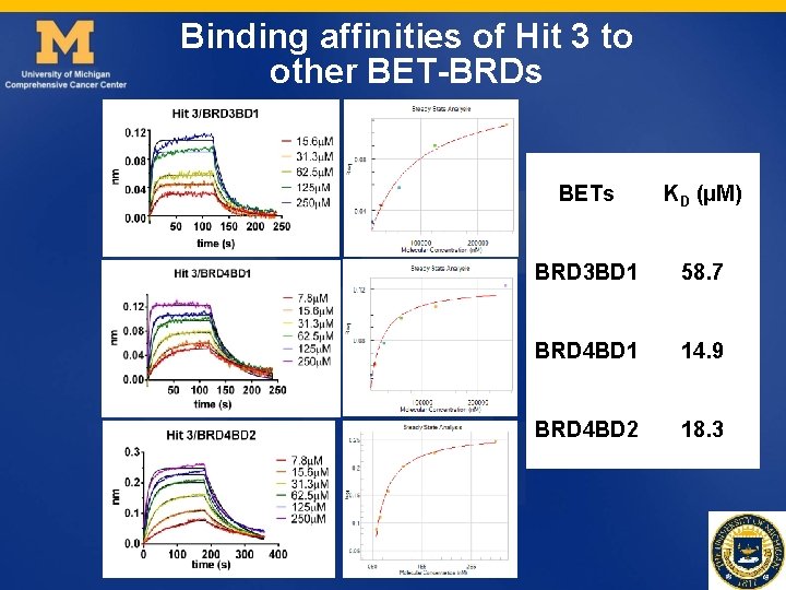 Binding affinities of Hit 3 to other BET-BRDs BETs KD (µM) BRD 3 BD