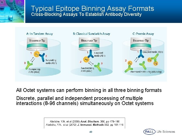 Typical Epitope Binning Assay Formats Cross-Blocking Assays To Establish Antibody Diversity All Octet systems Typical Epitope Binning Assay Formats Cross-Blocking Assays To Establish Antibody Diversity All Octet systems