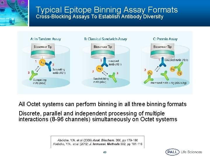 Typical Epitope Binning Assay Formats Cross-Blocking Assays To Establish Antibody Diversity All Octet systems